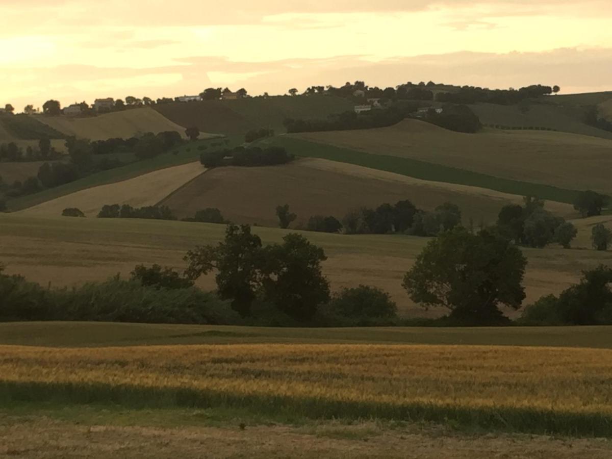 Il Giardino Nella Valle Belvedere Ostrense 外观 照片