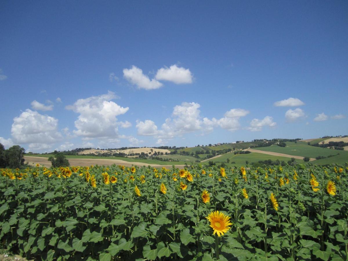 Il Giardino Nella Valle Belvedere Ostrense 外观 照片