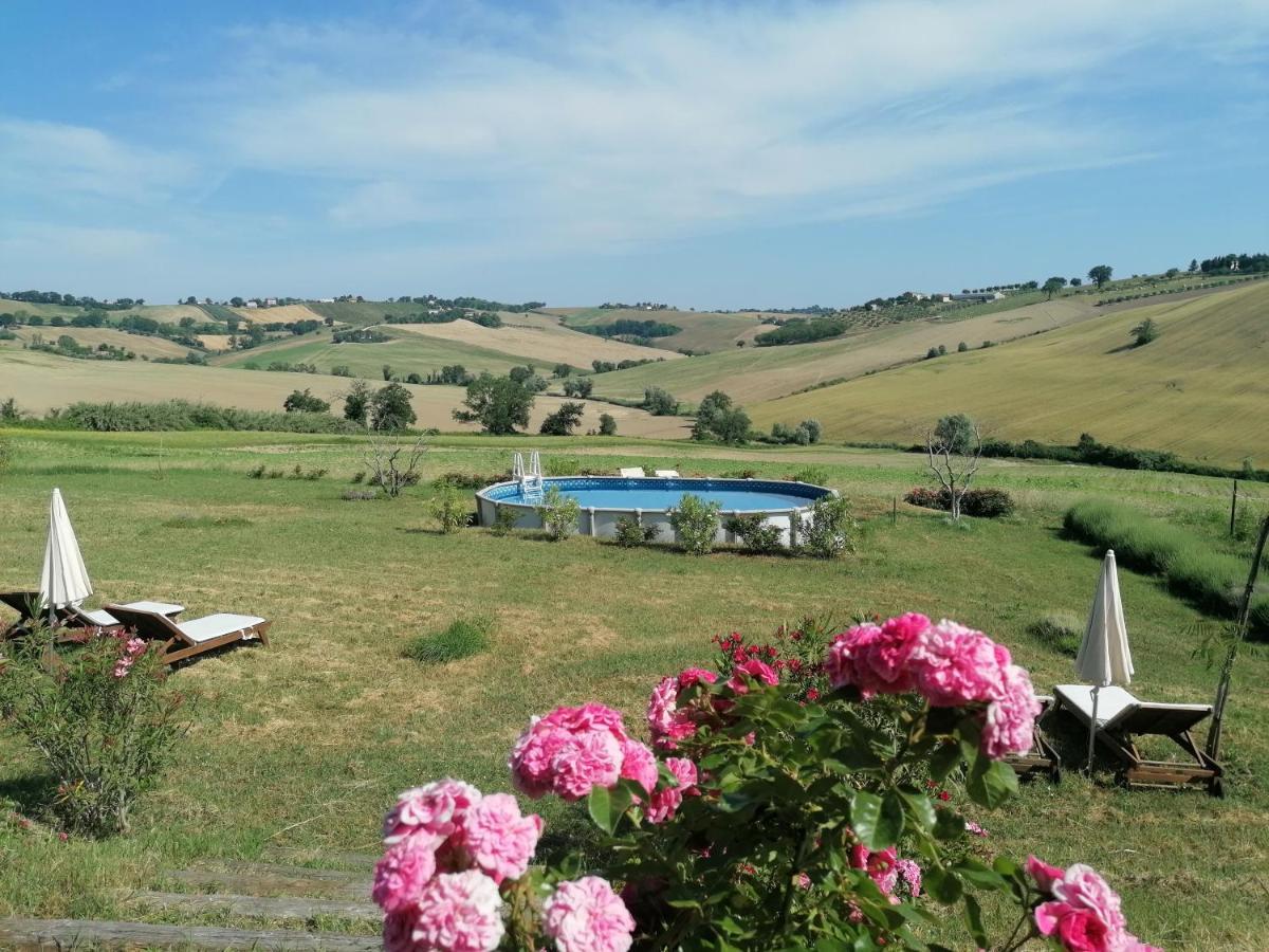 Il Giardino Nella Valle Belvedere Ostrense 外观 照片