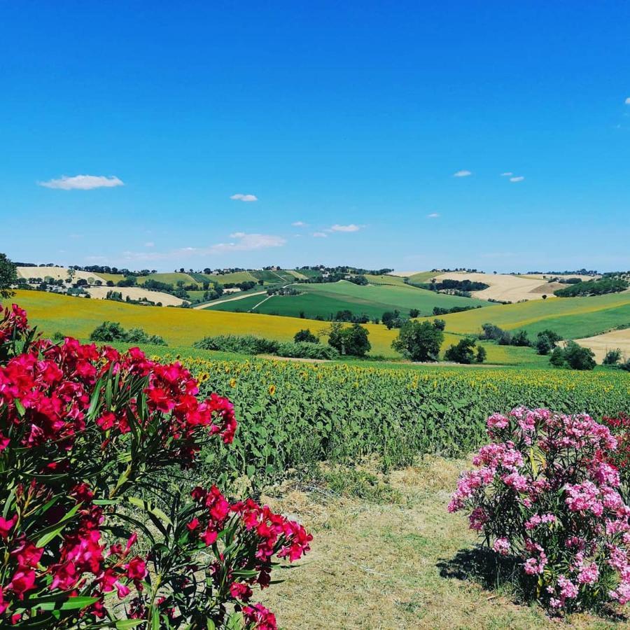Il Giardino Nella Valle Belvedere Ostrense 外观 照片