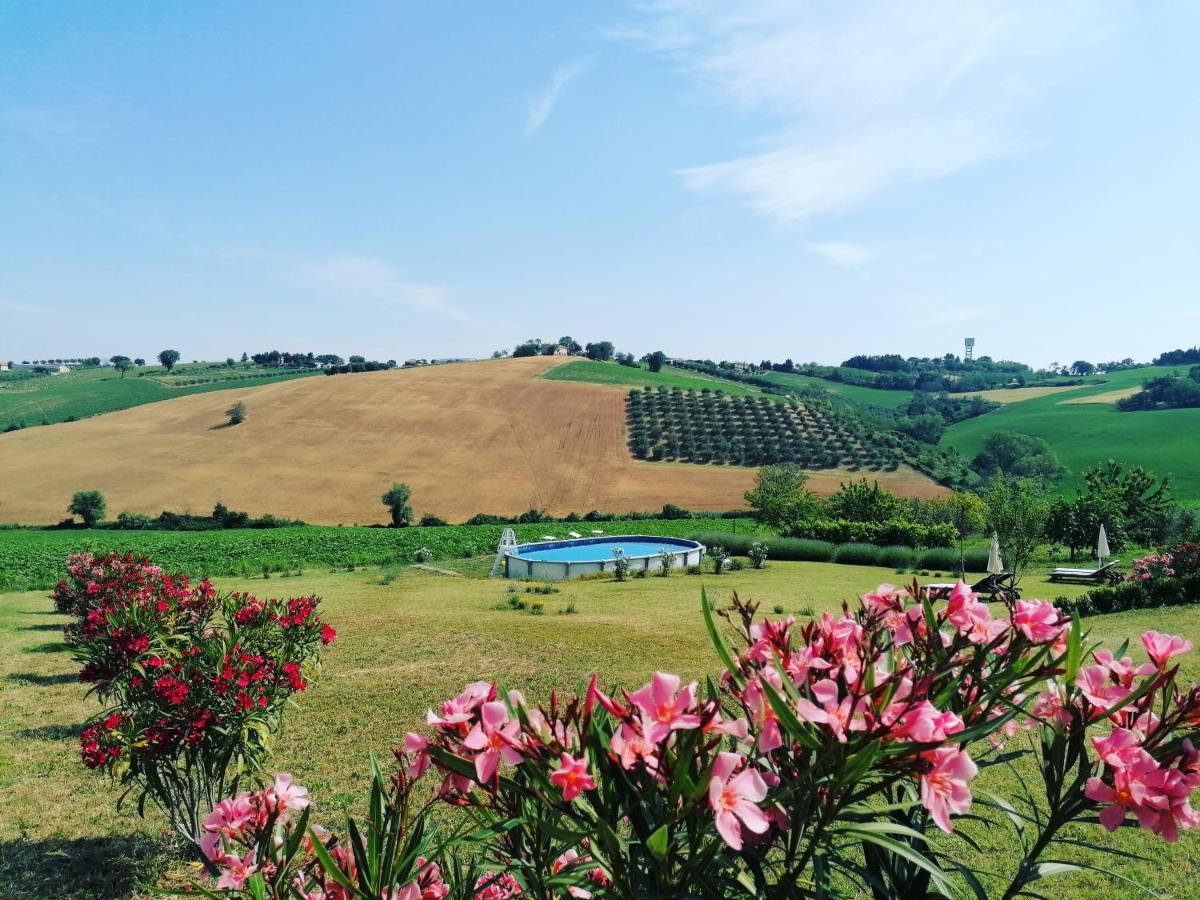 Il Giardino Nella Valle Belvedere Ostrense 外观 照片