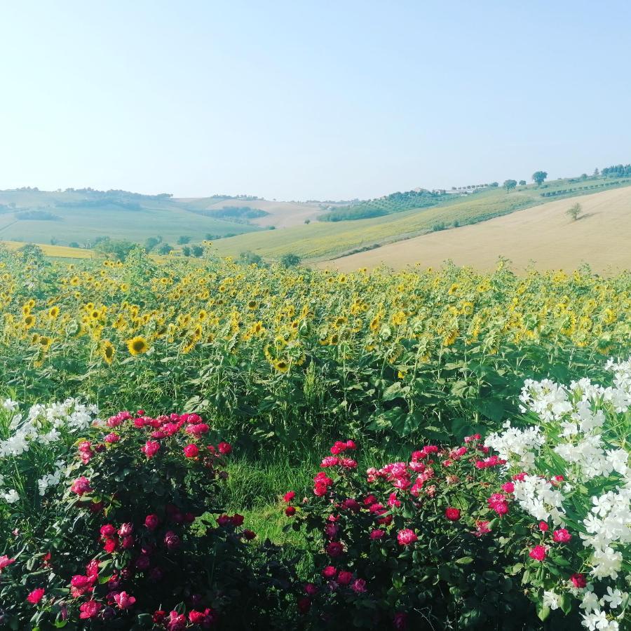 Il Giardino Nella Valle Belvedere Ostrense 外观 照片