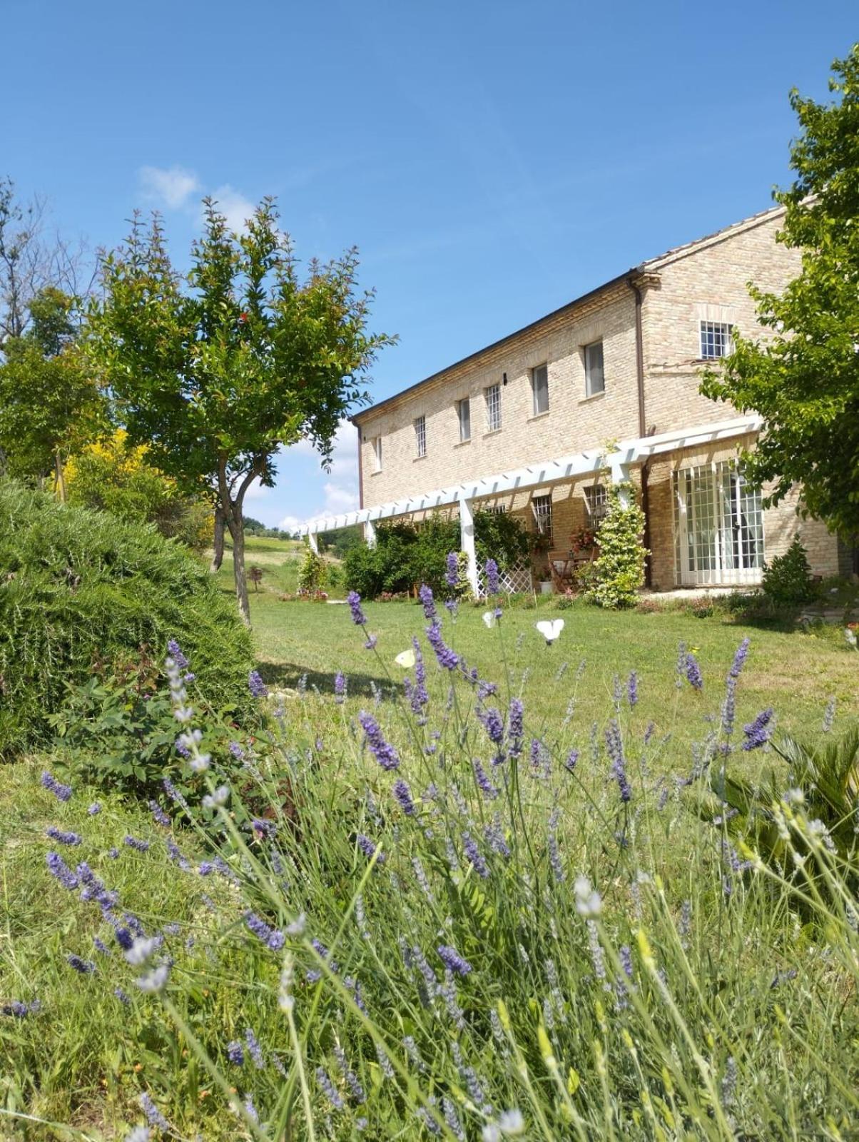 Il Giardino Nella Valle Belvedere Ostrense 客房 照片