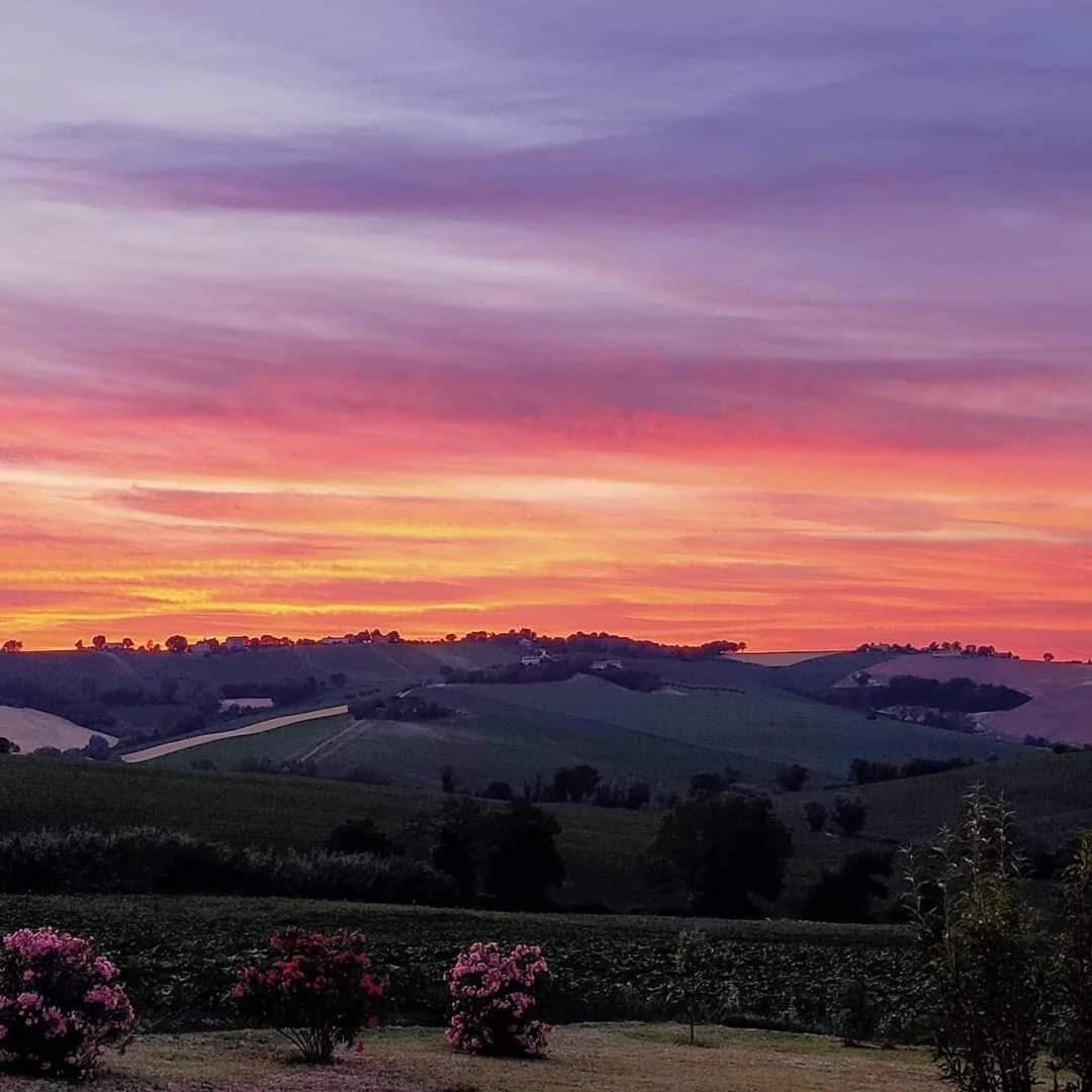 Il Giardino Nella Valle Belvedere Ostrense 外观 照片