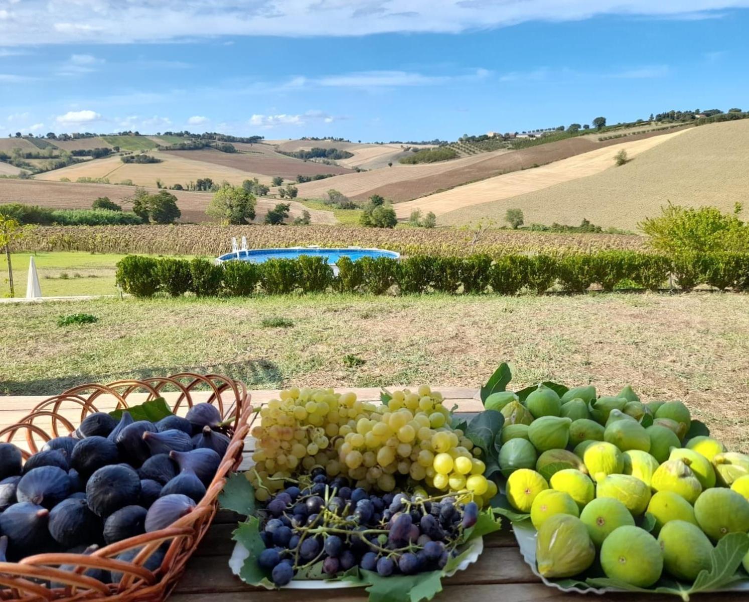 Il Giardino Nella Valle Belvedere Ostrense 外观 照片