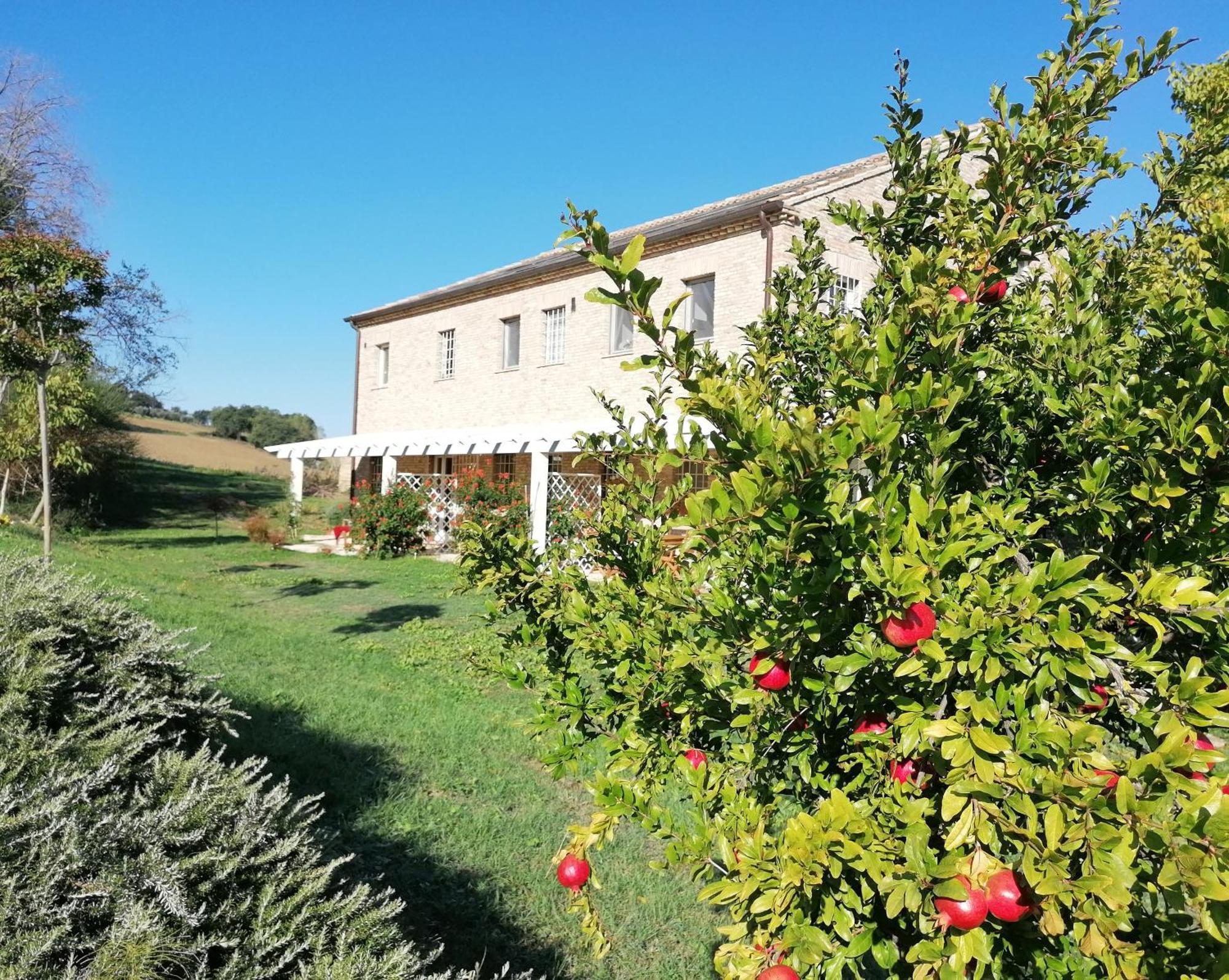 Il Giardino Nella Valle Belvedere Ostrense 外观 照片