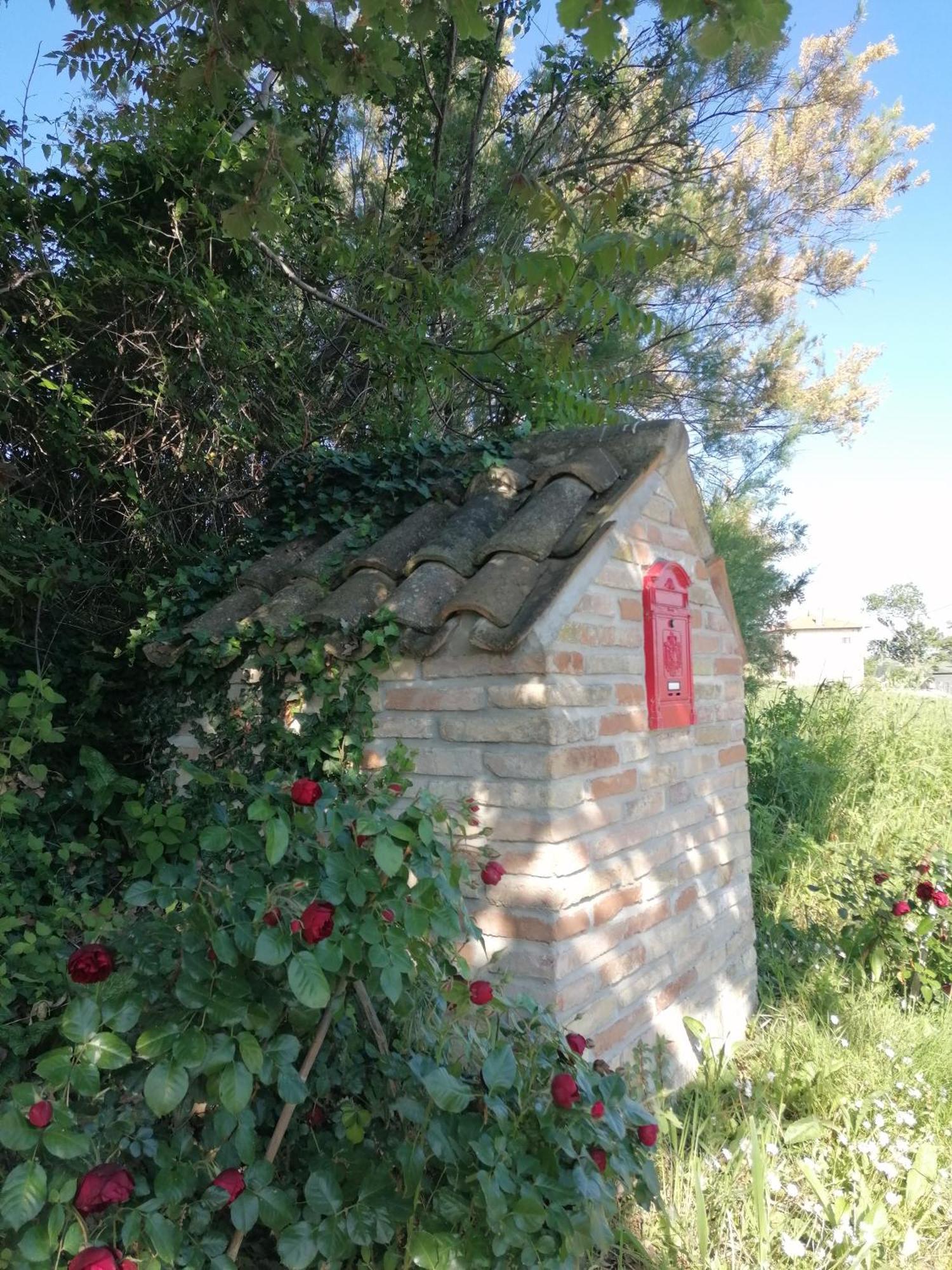 Il Giardino Nella Valle Belvedere Ostrense 外观 照片