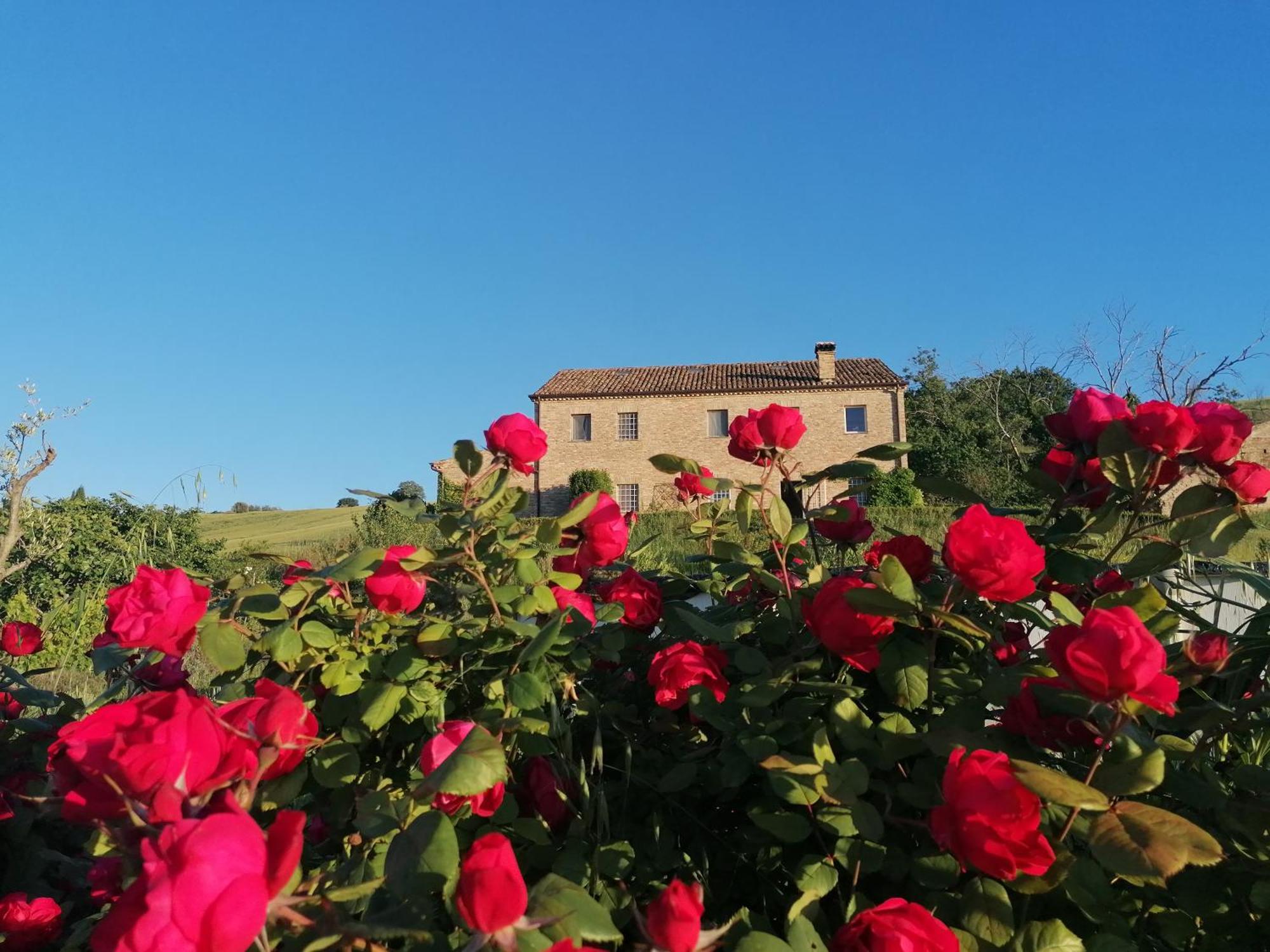 Il Giardino Nella Valle Belvedere Ostrense 外观 照片