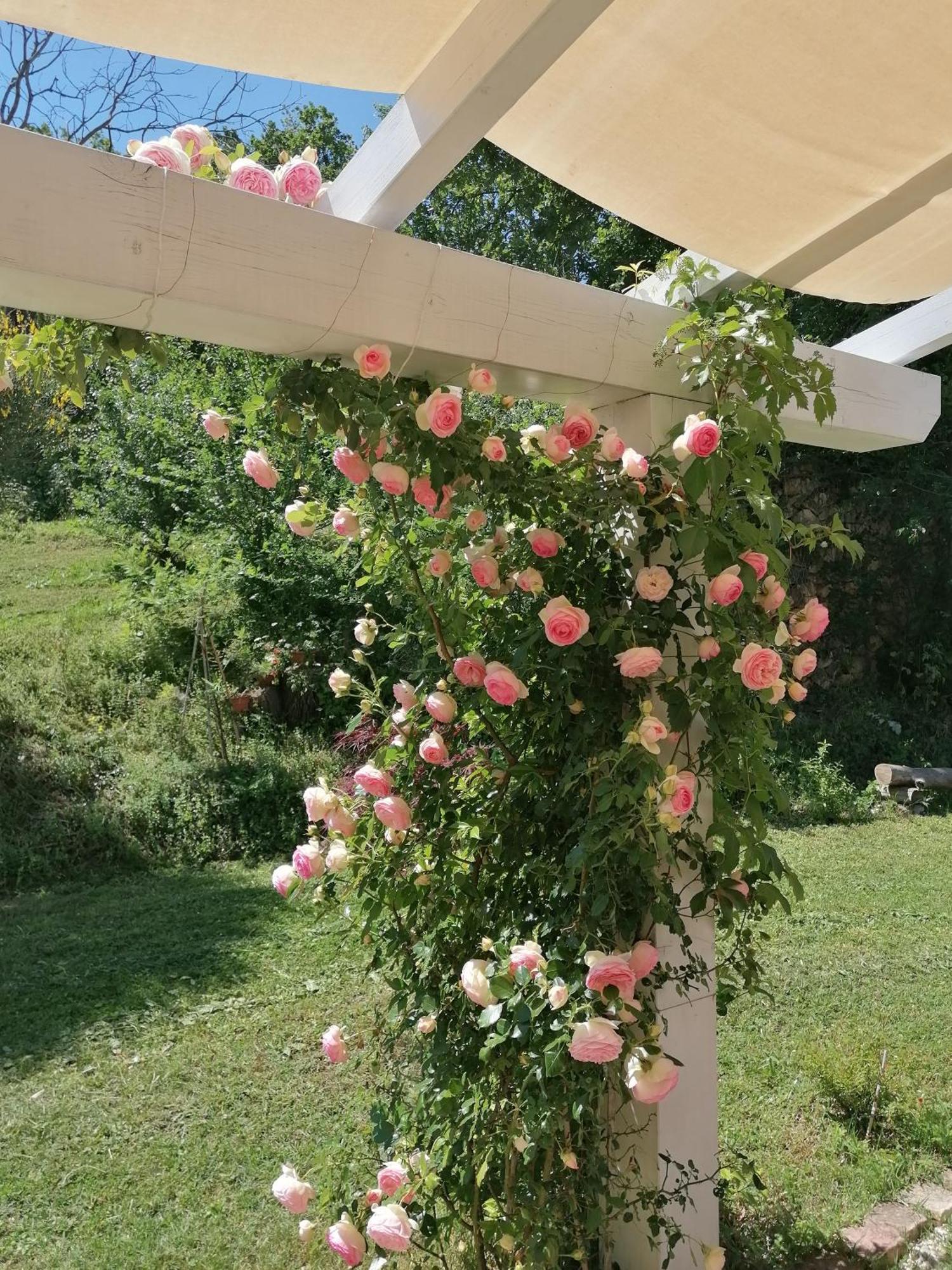 Il Giardino Nella Valle Belvedere Ostrense 外观 照片