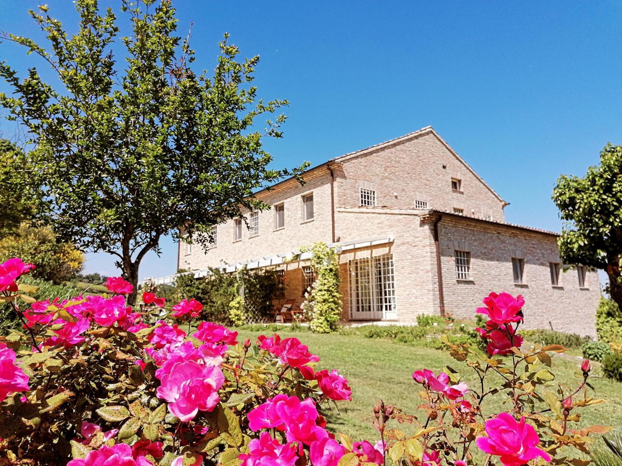 Il Giardino Nella Valle Belvedere Ostrense 外观 照片