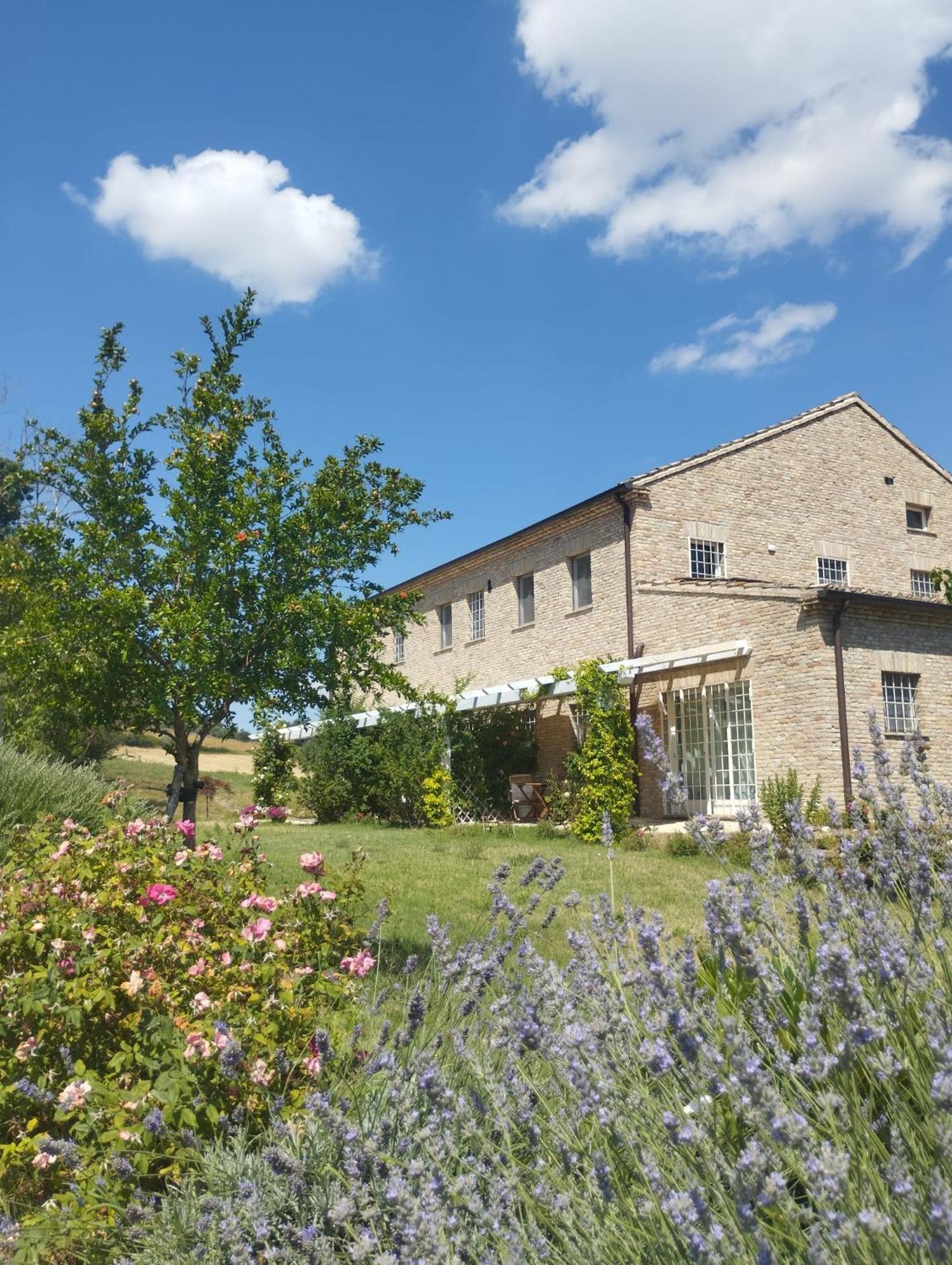 Il Giardino Nella Valle Belvedere Ostrense 外观 照片